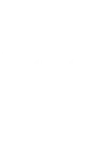 CSC Arms Division